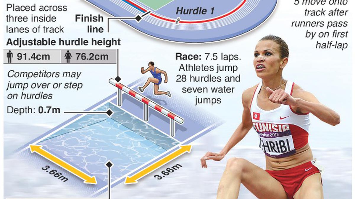 3000m steeplechase Sportstar